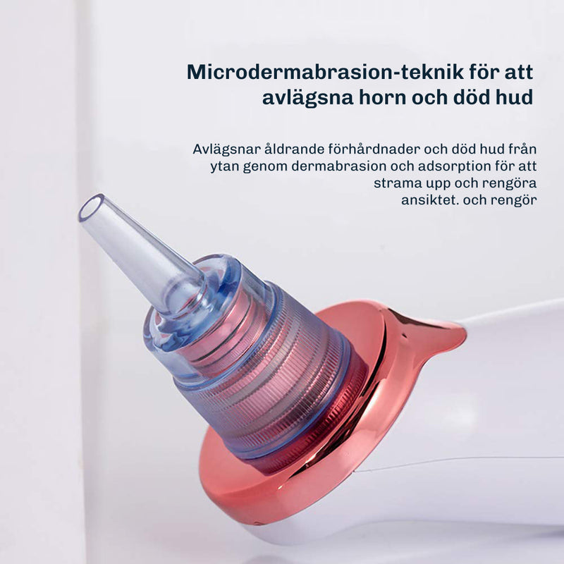 Illustration som visar sex vanliga hudproblem som Silky Planet pormaskborttagare är avsedd att motverka.